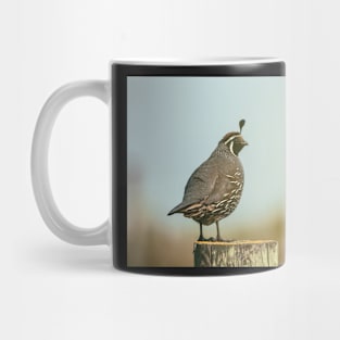 California Quail Mug